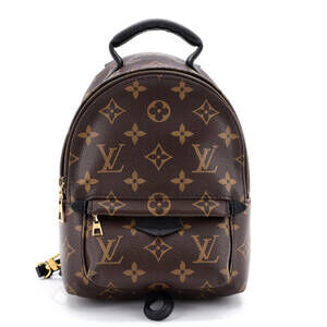 Louis Vuitton Palm Springs Backpack #203880L20B